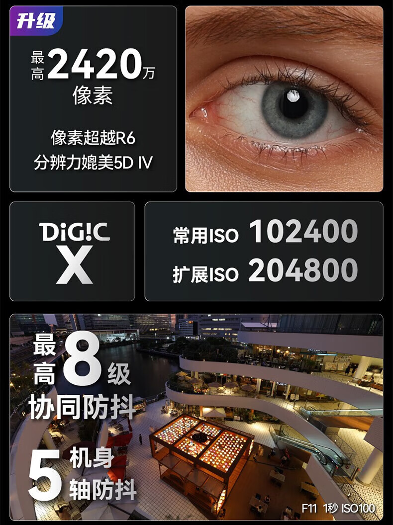 佳能（Canon）EOS R6 全画幅微单相机 机身/套机全画幅专业 Vlog相机 4K短片拍摄 单机身+转接环