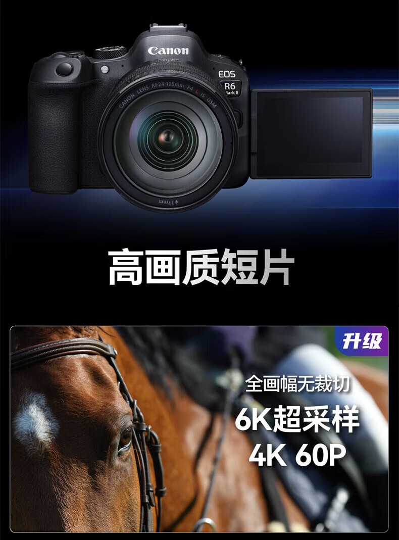 佳能（Canon）EOS R6 全画幅微单相机 机身/套机全画幅专业 Vlog相机 4K短片拍摄 单机身+转接环