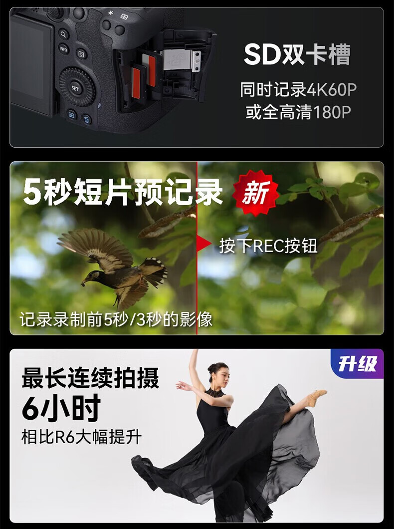 佳能（Canon）EOS R6 全画幅微单相机 机身/套机全画幅专业 Vlog相机 4K短片拍摄 单机身+转接环