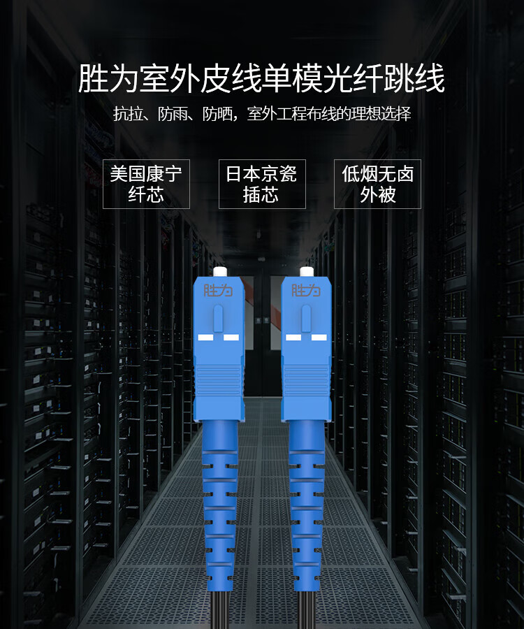 胜为（shengwei）室外皮线光纤跳线 SC-SC(UPC)单模单芯100米 9/125低烟无卤 1芯3钢丝 黑色 FSOP-1100