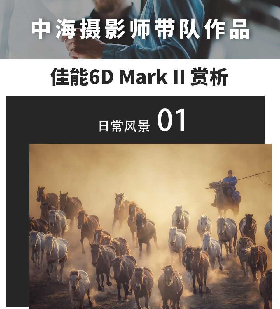 佳能（Canon）6D2专业级高级全新eos全画幅机身套机单反照相机 单反相机 EF24-105 f4/L IS USM红圈镜头