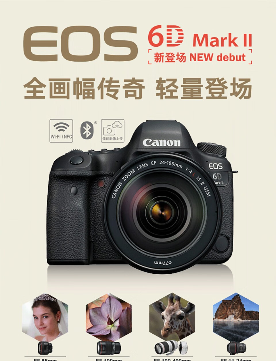 佳能（Canon）6D2专业级高级全新eos全画幅机身套机单反照相机 单反相机 EF24-105 f4/L IS USM红圈镜头