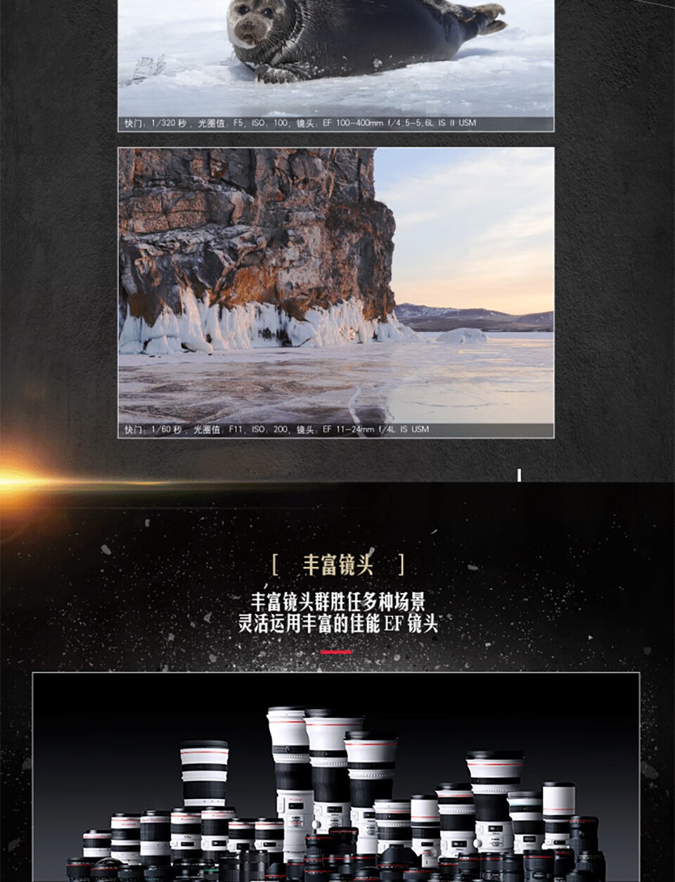 佳能（Canon）6D2专业级高级全新eos全画幅机身套机单反照相机 单反相机 EF24-70mm f/4L IS USM套机