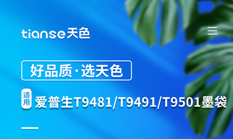 天色（TIANSE）T9501墨盒适用爱普生 Epson WF-C5790A/C5290A/5290/5790墨袋【10000页】 黑色 超大容量
