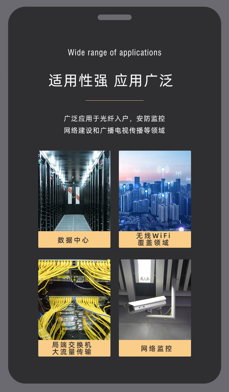 胜为（shengwei）万兆光纤收发器 SFP+光电转换器 电信级不含光模块 一对 FC-212AB+
