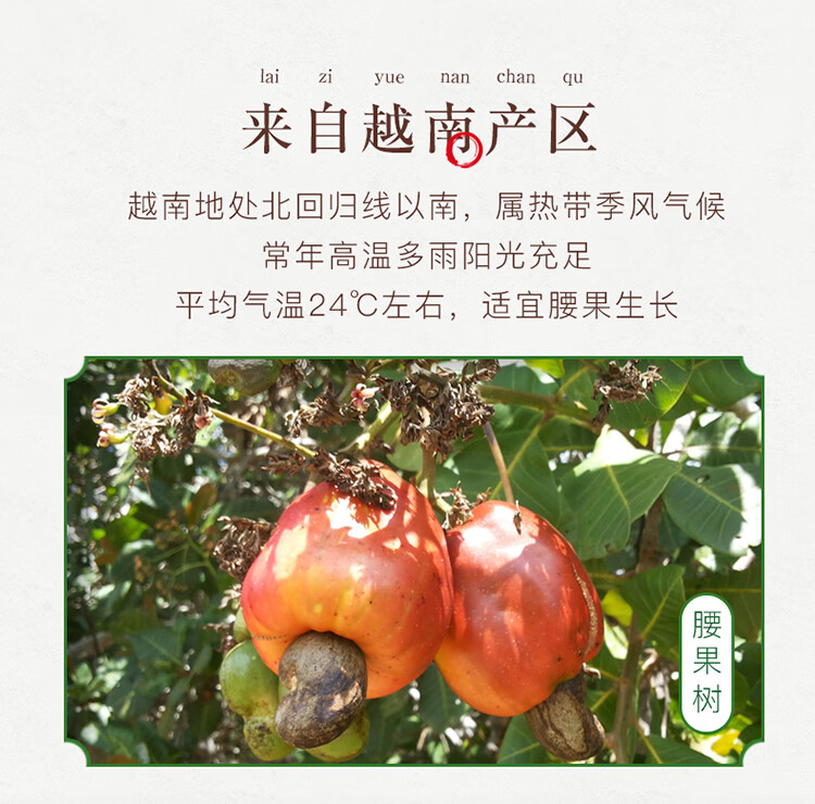 姚生记  休闲零食 紫衣腰果200g*2罐