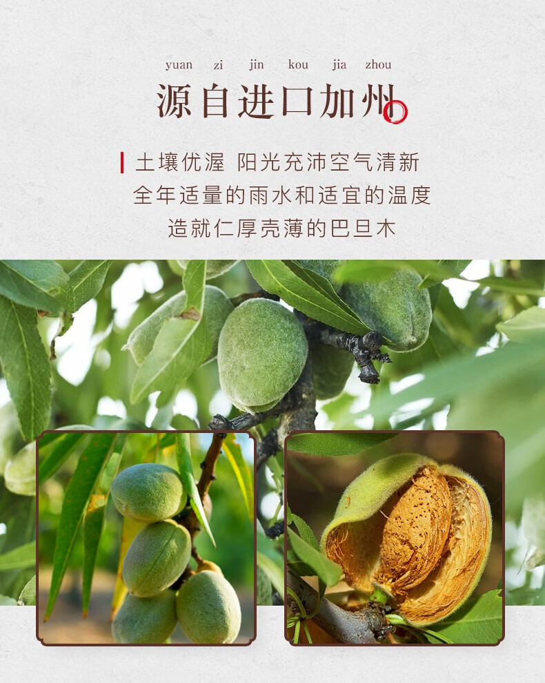 姚生记  休闲零食 笑口巴旦木500g*1罐