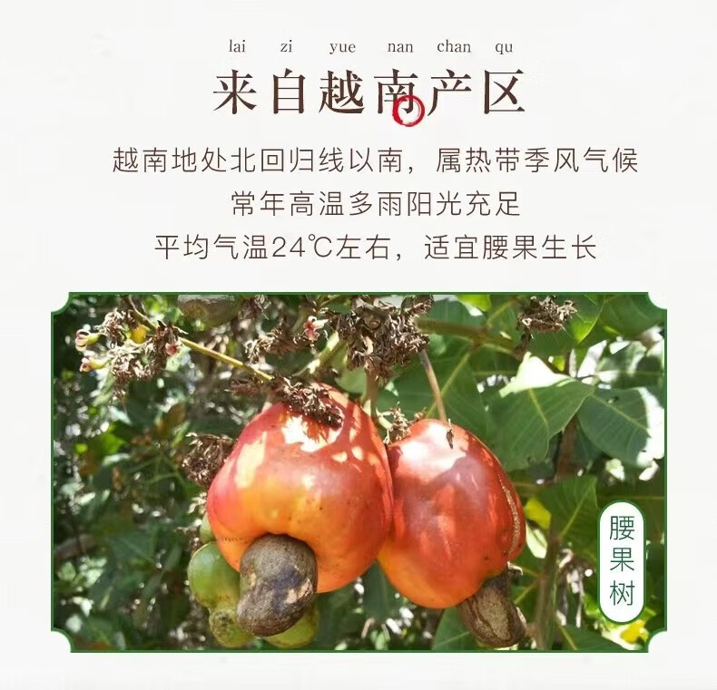 姚生记  休闲零食 炭烧腰果（咸蛋黄味）100g*3袋