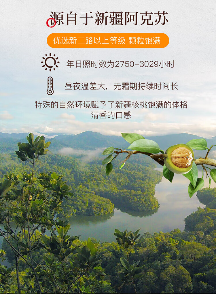 姚生记 休闲零食 新疆大核桃仁400g*1罐
