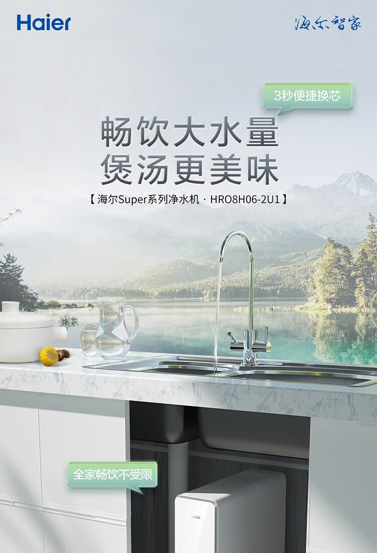 海尔（Haier）大通量净水器家用净水机双出水厨下式直饮净水机自来水过滤器 800加仑HRO8H06-2U1 HLZR400A-2L