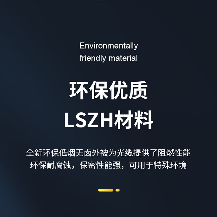 胜为（shengwei）12芯单模室内网线光纤线9/125 GJFJV/GJFJH低烟无卤束状软光缆 2000米BGJV122S