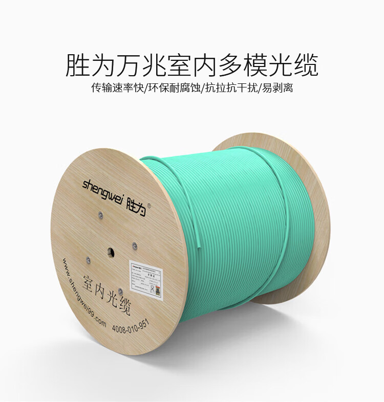 胜为（shengwei）12芯万兆网线多模室内光纤光缆 OM3-300 GJFJV/GJFJH 100米束状软光缆 FMO-IH-12C-300