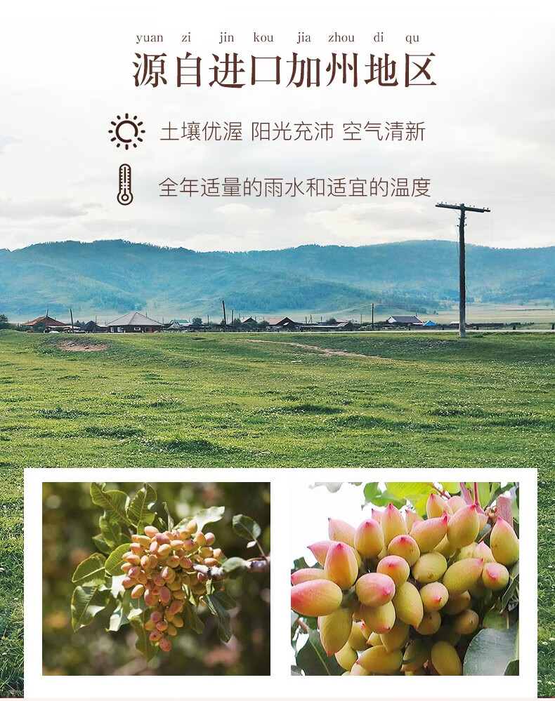 姚生记  休闲零食 开心果80g*4袋