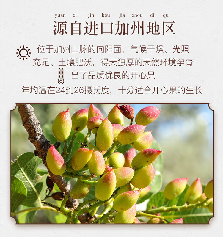 姚生记  休闲零食 开心果458g*1罐