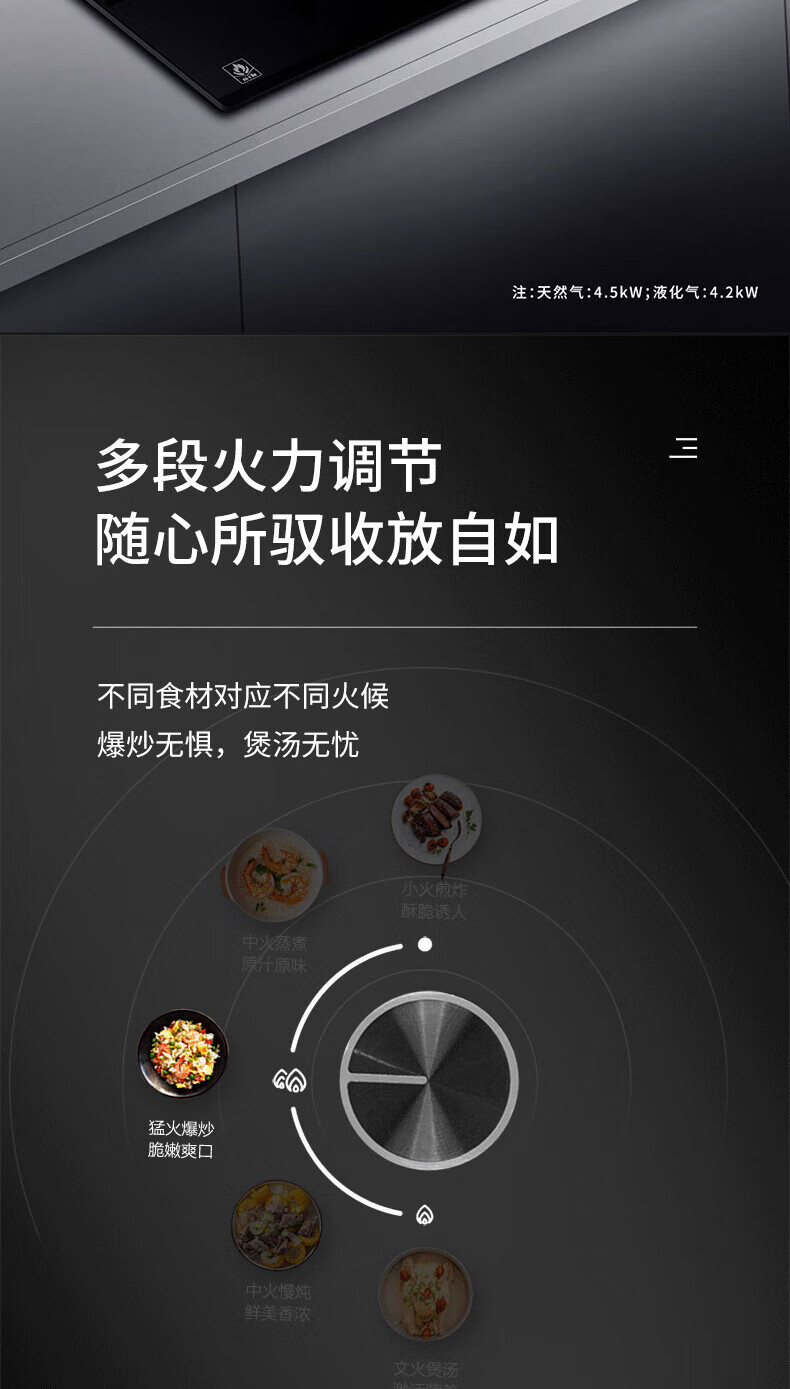 海尔（Haier）智能防干烧燃气灶 嵌入式台式两用天然气气灶 双灶猛火煤气灶 家用灶具大火力 JZT-QHA93D(12T)