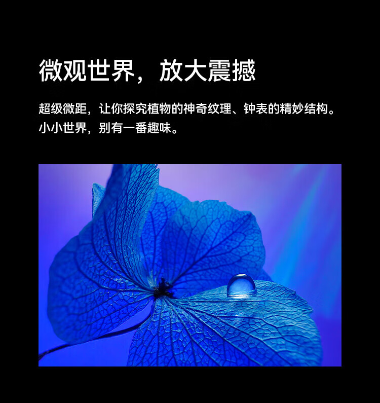 华为（HUAWEI）超聚光XMAGE影像 双向北斗卫星消息 洛可可白 鸿蒙曲面屏 智能旗舰手机 P60 8+512可可白