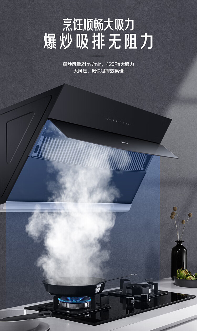 海尔（Haier）抽油烟机家用侧吸式吸油烟机 20m?/min大吸力 挥手控制 高频自旋洗CXW-219-EC900U1
