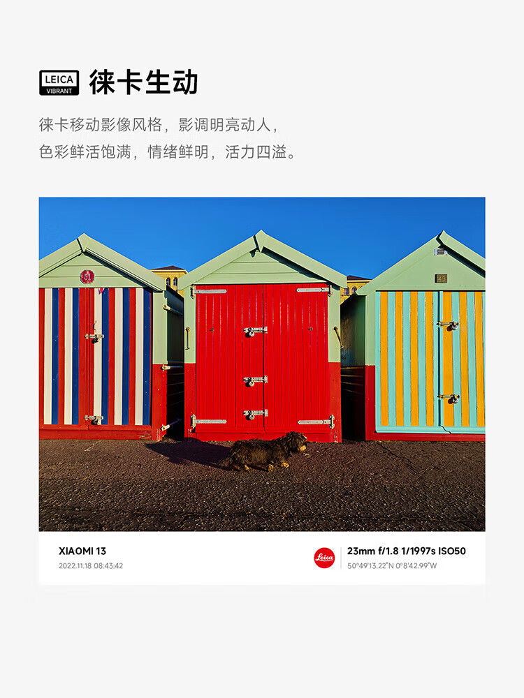 小米13 徕卡光学镜头 第二代骁龙8处理器 超窄边屏幕 120Hz高刷 67W快充 12+512GB 旷野绿 5G手机