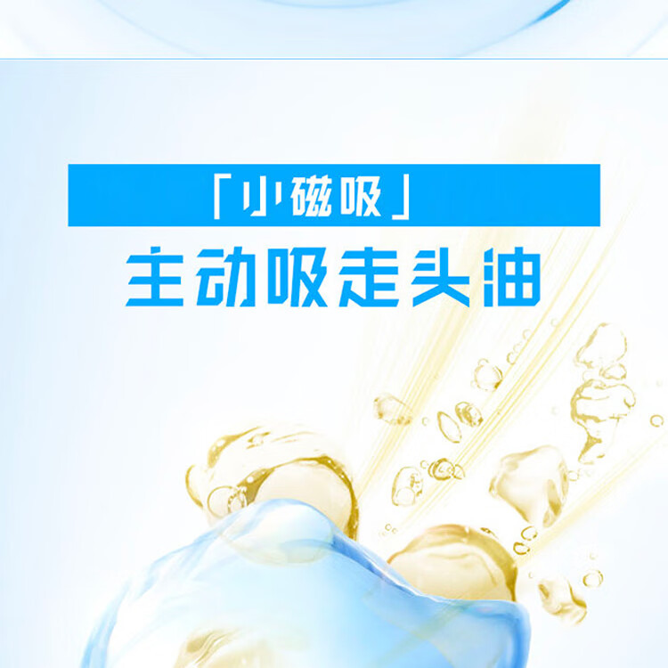 海飞丝洗发水 去屑洗发露 丝质柔滑型500g