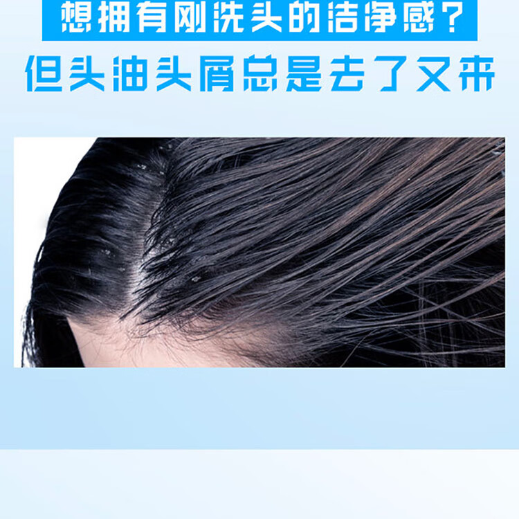 海飞丝洗发水 去屑洗发露 丝质柔滑型500g