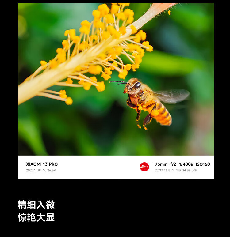 小米13Pro 5G手机 徕卡光学镜头 第二代骁龙8处理器 2K曲面屏 120Hz高刷 陶瓷黑 12GB+256GB