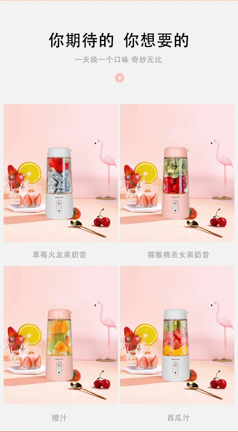 艾青春（AIYOUTH）便携式榨汁机家用水果小型充电迷你炸果汁机电动学生榨汁杯 IQC-G312A