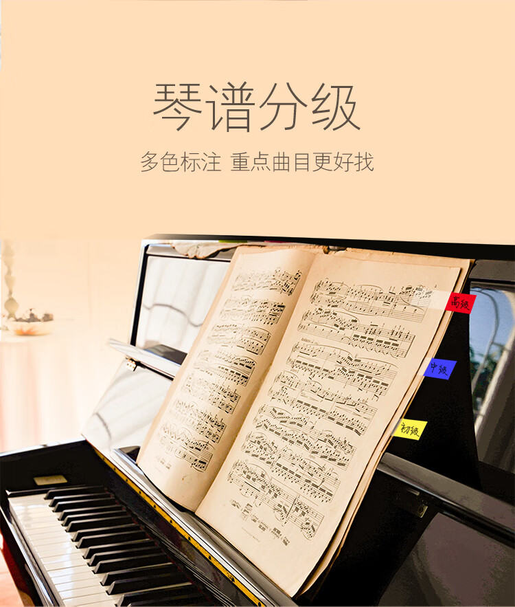 3M 便利贴 报事贴/便条纸/便签纸/指示标签 办公用品 5色/包 6包装 683-5CF