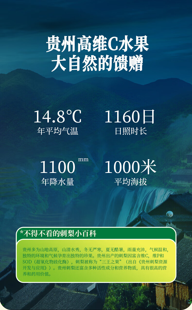 千优谷 葛根菊花枸杞养生茶袋泡茶酵香回甘刺梨茶 3g*12包