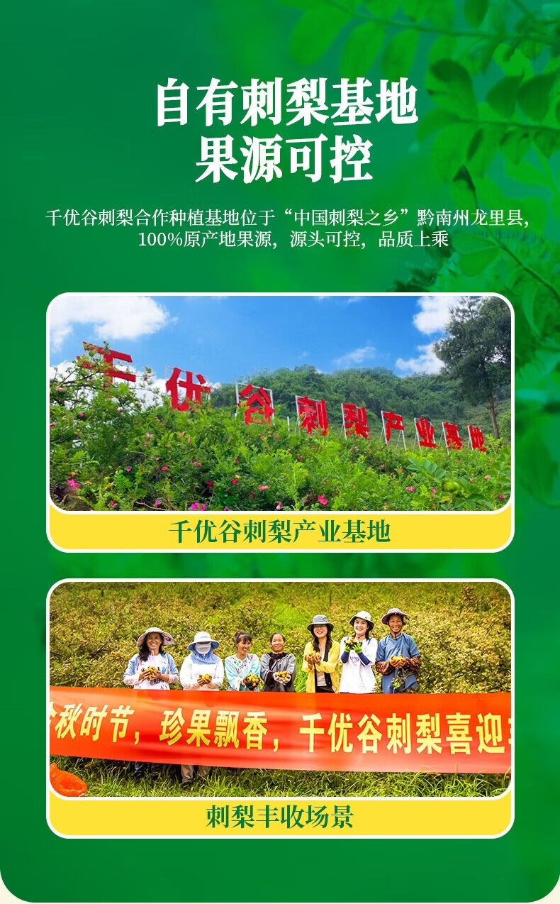 千优谷 天然植物维C果汁饮料刺梨复合果汁饮料 240ML/瓶*10瓶/箱