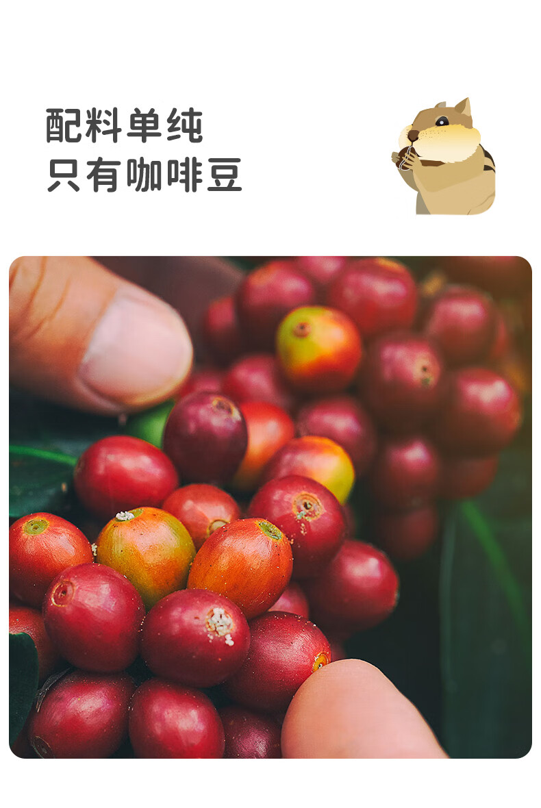 隅田川 挂耳咖啡特浓黑咖啡粉 森林礼盒40片装320g*1盒