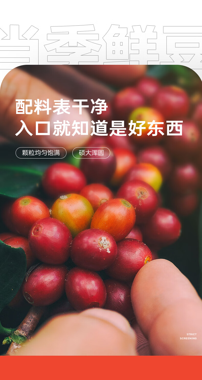 隅田川 意式挂耳锁鲜咖啡 24片装192g
