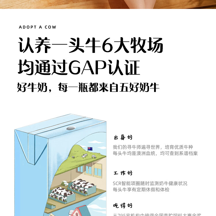 认养一头牛 全脂纯牛奶 企业员工福利 全脂纯牛奶250ml*12盒*4提