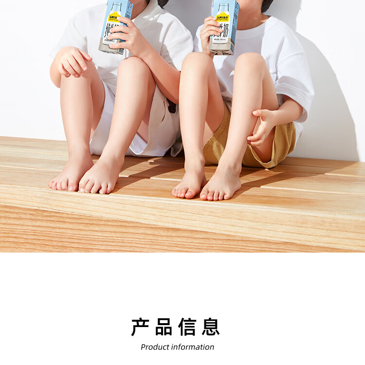 认养一头牛 全脂纯牛奶 企业员工福利 全脂纯牛奶250ml*12盒*4提