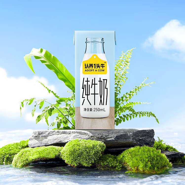 认养一头牛 全脂纯牛奶 企业员工福利 全脂纯牛奶250ml*12盒*4提