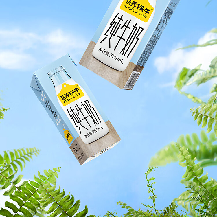 认养一头牛 全脂纯牛奶 企业员工福利 全脂纯牛奶250ml*12盒*4提