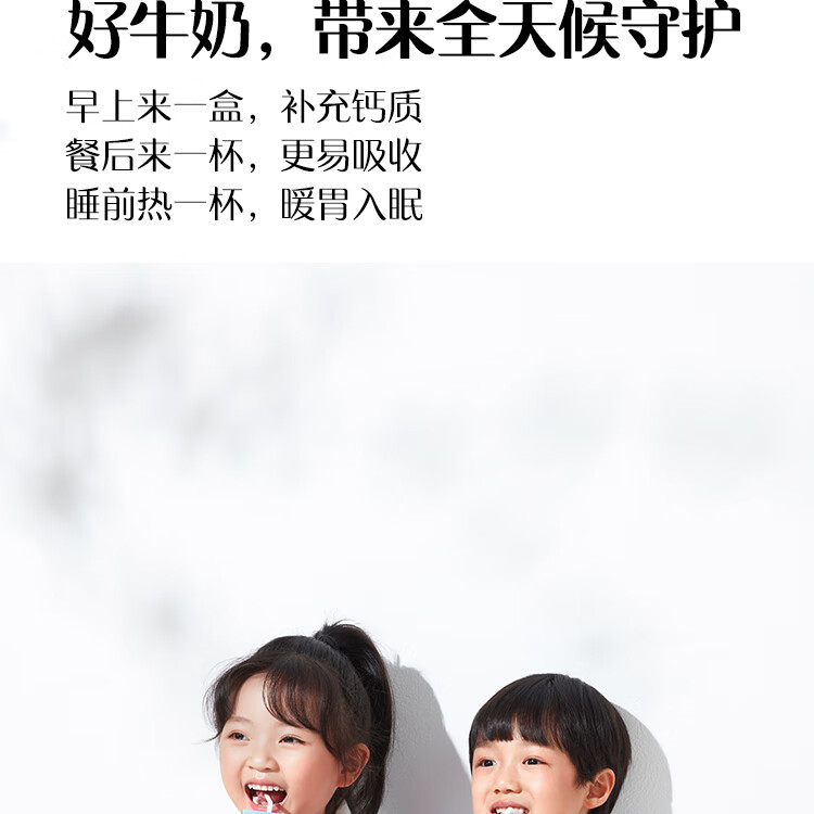 认养一头牛 全脂纯牛奶 企业员工福利 全脂纯牛奶250ml*12盒*4提