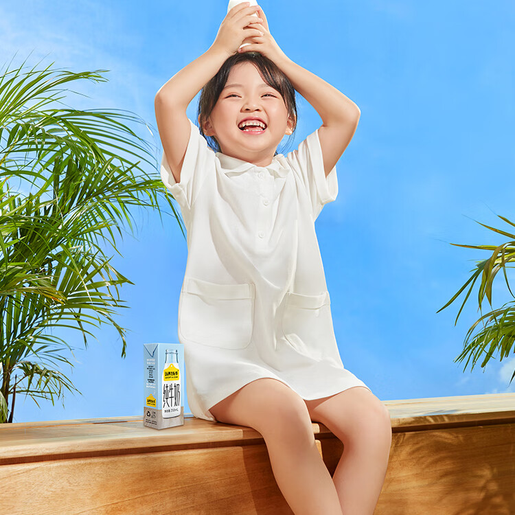 认养一头牛 全脂纯牛奶 企业员工福利 全脂纯牛奶250ml*12盒*4提