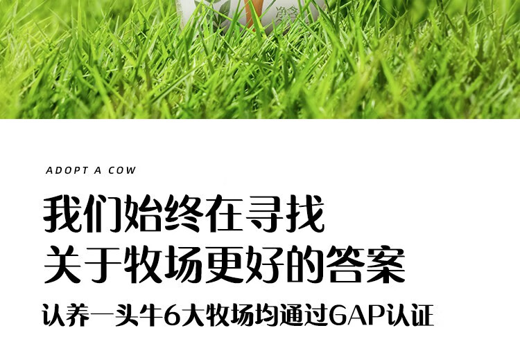 认养一头牛 常温法式酸奶 原味法式酸奶200g*12盒*4提 企业员工福利