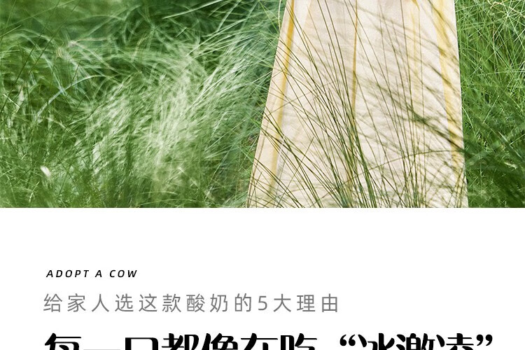认养一头牛 常温法式酸奶 原味法式酸奶200g*12盒*4提 企业员工福利