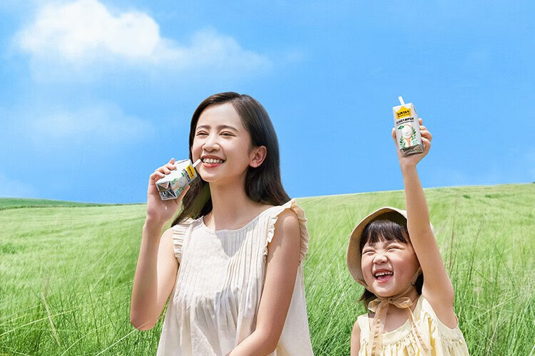 认养一头牛 常温法式酸奶 原味法式酸奶200g*12盒*4提 企业员工福利