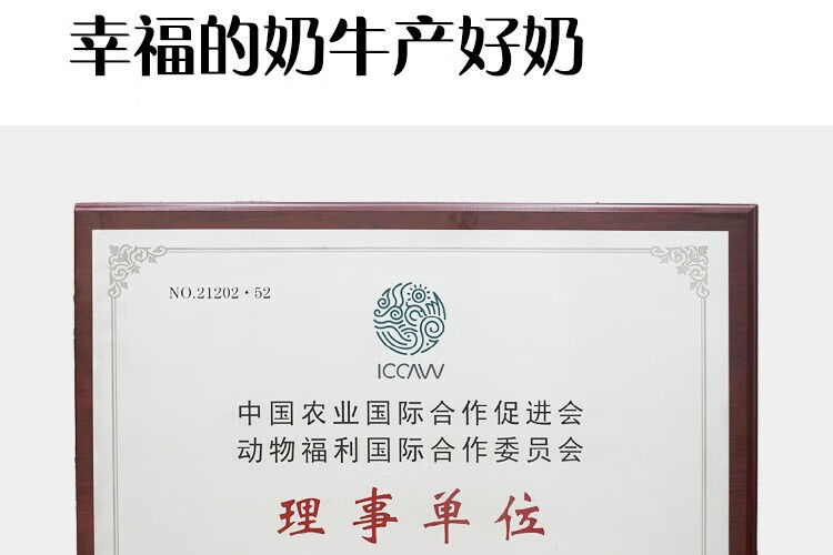 认养一头牛 常温法式酸奶 原味法式酸奶200g*12盒*4提 企业员工福利