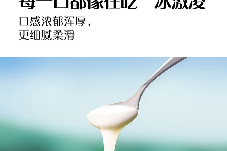 认养一头牛 常温法式酸奶 原味法式酸奶200g*12盒*4提 企业员工福利