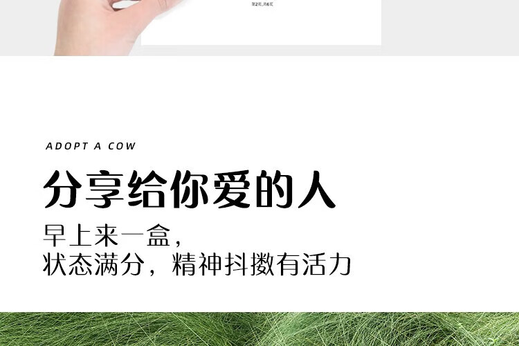 认养一头牛 常温法式酸奶 原味法式酸奶200g*12盒*4提 企业员工福利