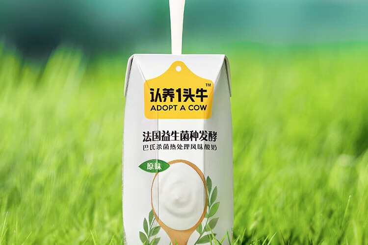 认养一头牛 常温法式酸奶 原味法式酸奶200g*12盒*4提 企业员工福利