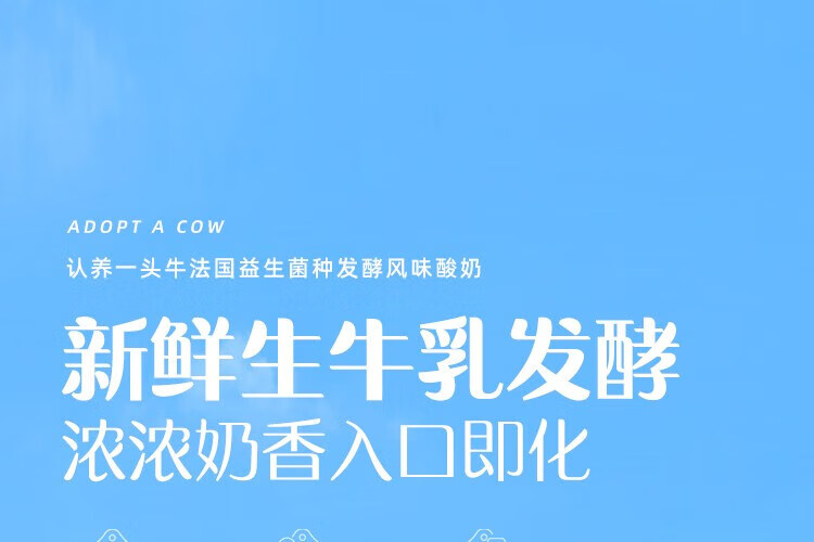 认养一头牛 常温法式酸奶 原味法式酸奶200g*12盒*4提 企业员工福利
