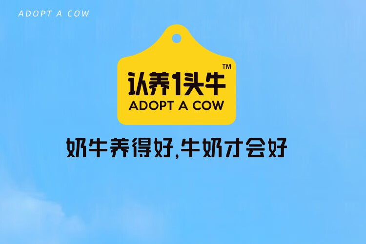 认养一头牛 常温法式酸奶 原味法式酸奶200g*12盒*4提 企业员工福利