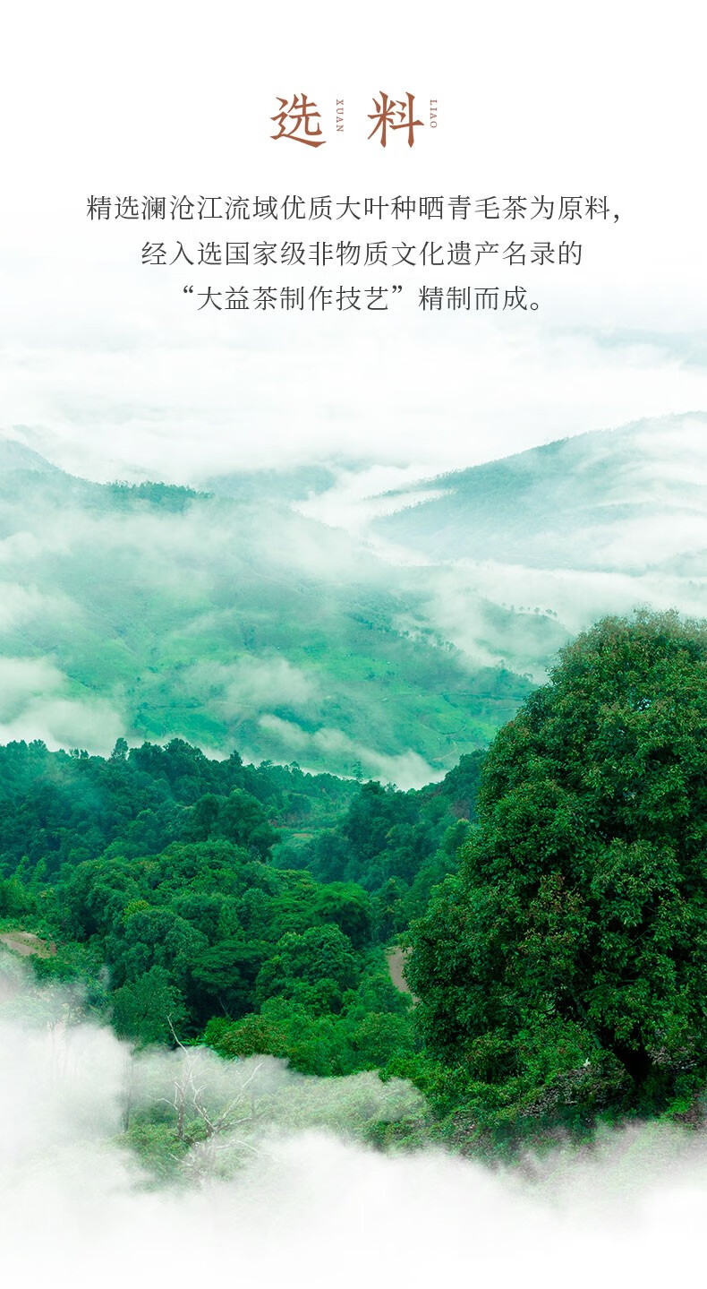 大益 茶叶送礼赤羽金轮礼盒（熟）357g/盒