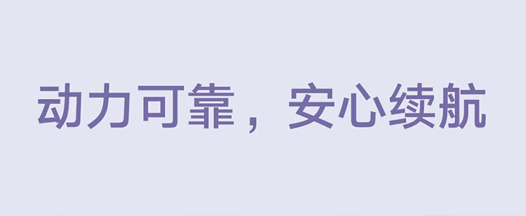 小米 电动牙刷成人/学生 4种净齿模式150天续航4支刷头 米家声波电动牙刷T302 霜紫色