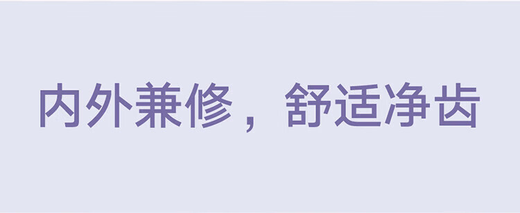 小米 电动牙刷成人/学生 4种净齿模式150天续航4支刷头 米家声波电动牙刷T302 霜紫色