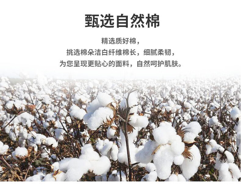 金号 倾城系列毛巾礼盒  ZL1903  颜色随机 单条装